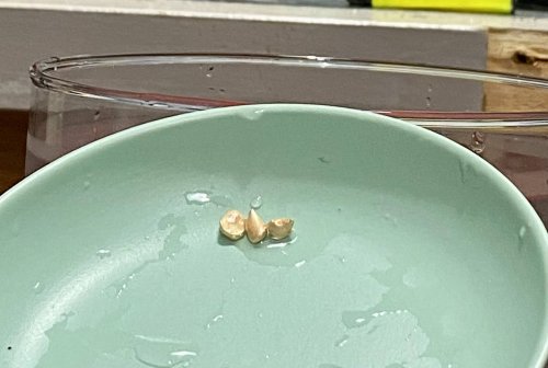 Susan LeGuyader's An Adventure in Water Casting - , General Education, Butane Torch, Soldering, Solder, water casting